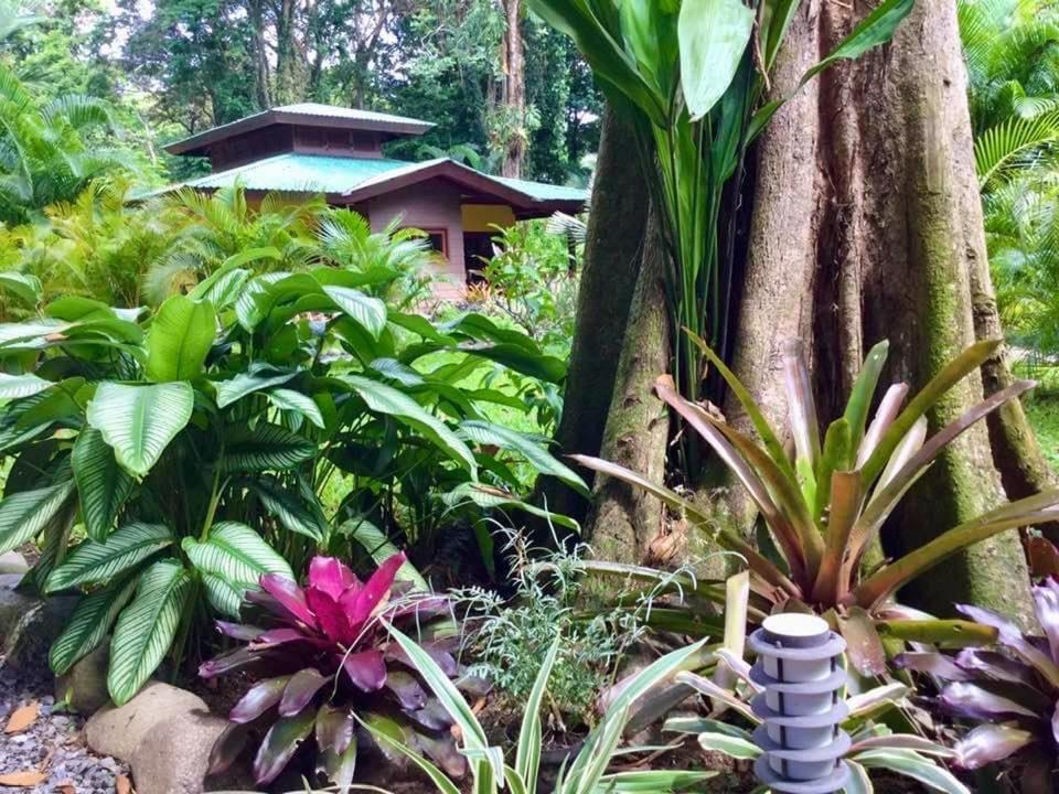 Ferienwohnung Oasi Cahuita Exterior foto
